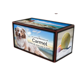 Timeless Collection Urn - Mittens & Max, LLC