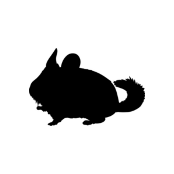 Chinchilla - Mittens & Max, LLC