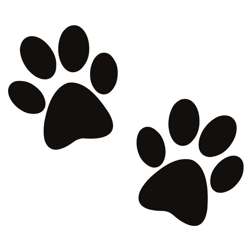 Double Paw - Mittens & Max, LLC