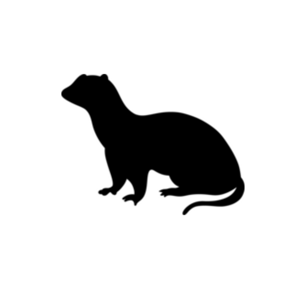 Ferret - Mittens & Max, LLC