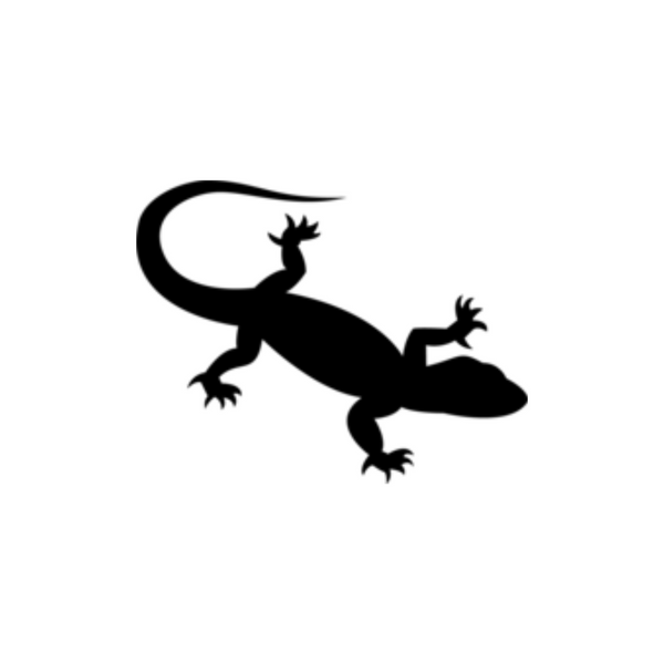 Lizard - Mittens & Max, LLC