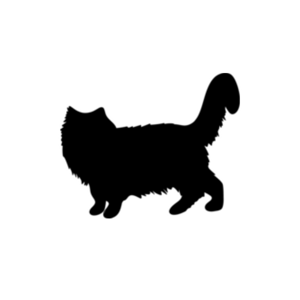 Long haired cat - Mittens & Max, LLC