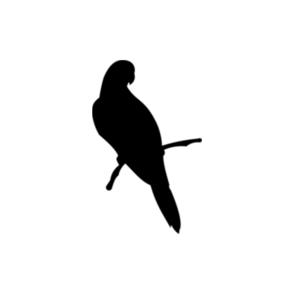 Parrot - Mittens & Max, LLC