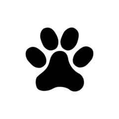 Paw 1