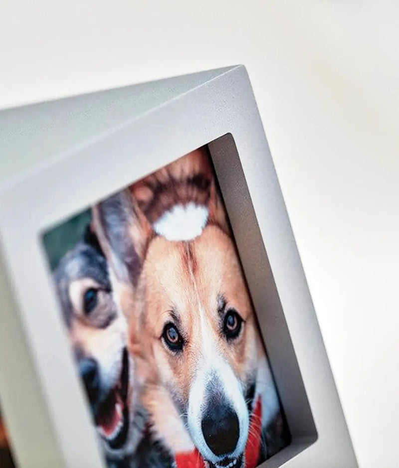 Silver Photo Cube Pet Urn