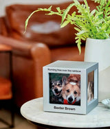 Silver Photo Cube Pet Urn