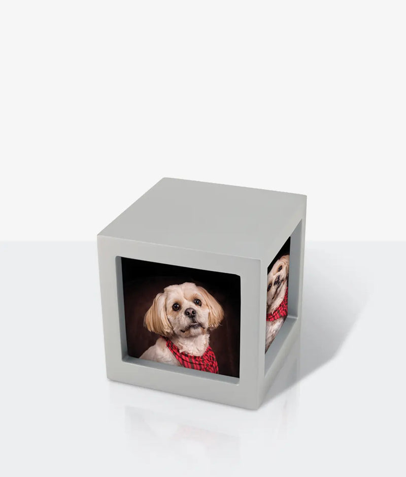 Silver Photo Cube Medium Pet Urn