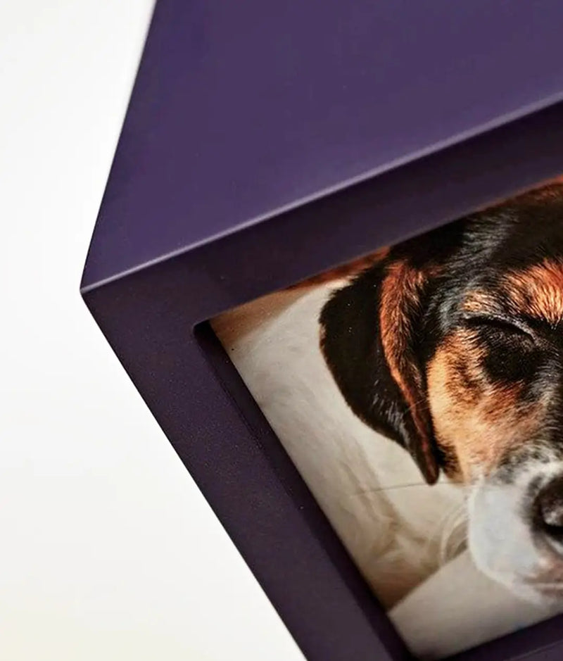 Purple Photo Cube Pet Urn