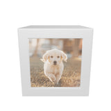 Silver Photo Cube Pet Urn