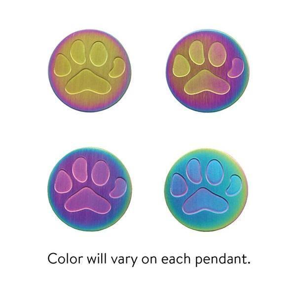 Rainbow Stainless Steel Paddy-paw Pet Jewelry